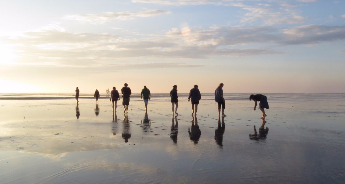 Beachexploer - am Nordseestrand  © RBorcherding/Schutzstation