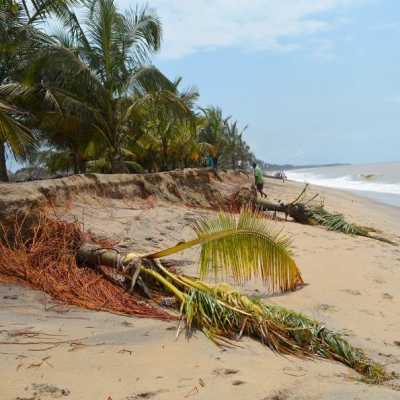 Ghana: Proyecto de impulso de la conservación costera y marina