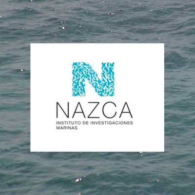 NAZ­CA - In­sti­tu­to
