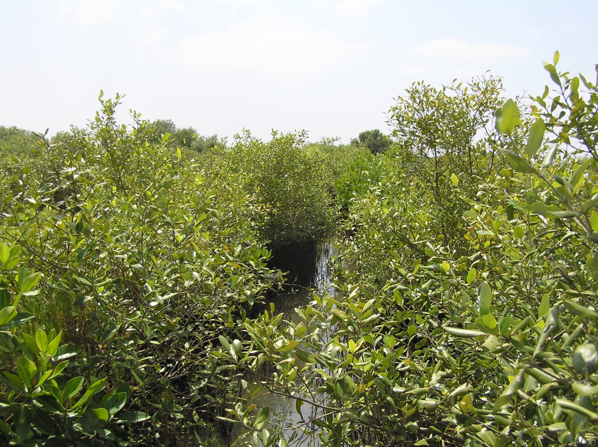 Zustand 2009 Zustand 2009