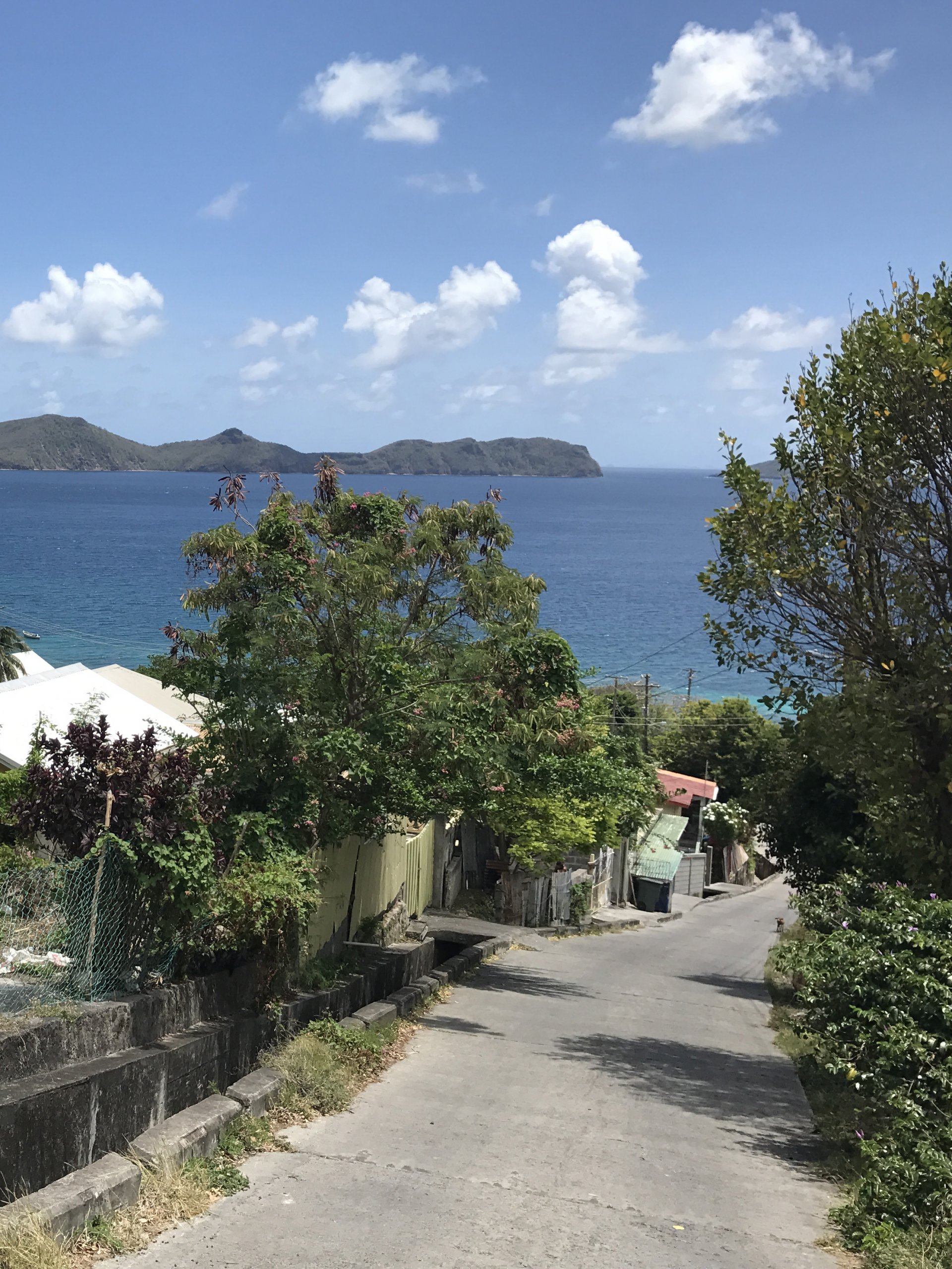 Grenadines Grenadines