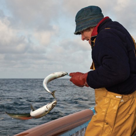 Small scale fisheries Small scale fisheries