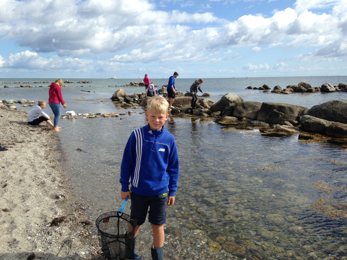 Mal sehen, was wir finden... Mal sehen, was wir finden...