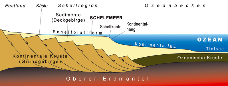 Schematic representation shelf seas Schematic representation shelf seas