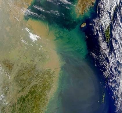 Bloom of phytoplankton Bloom of phytoplankton