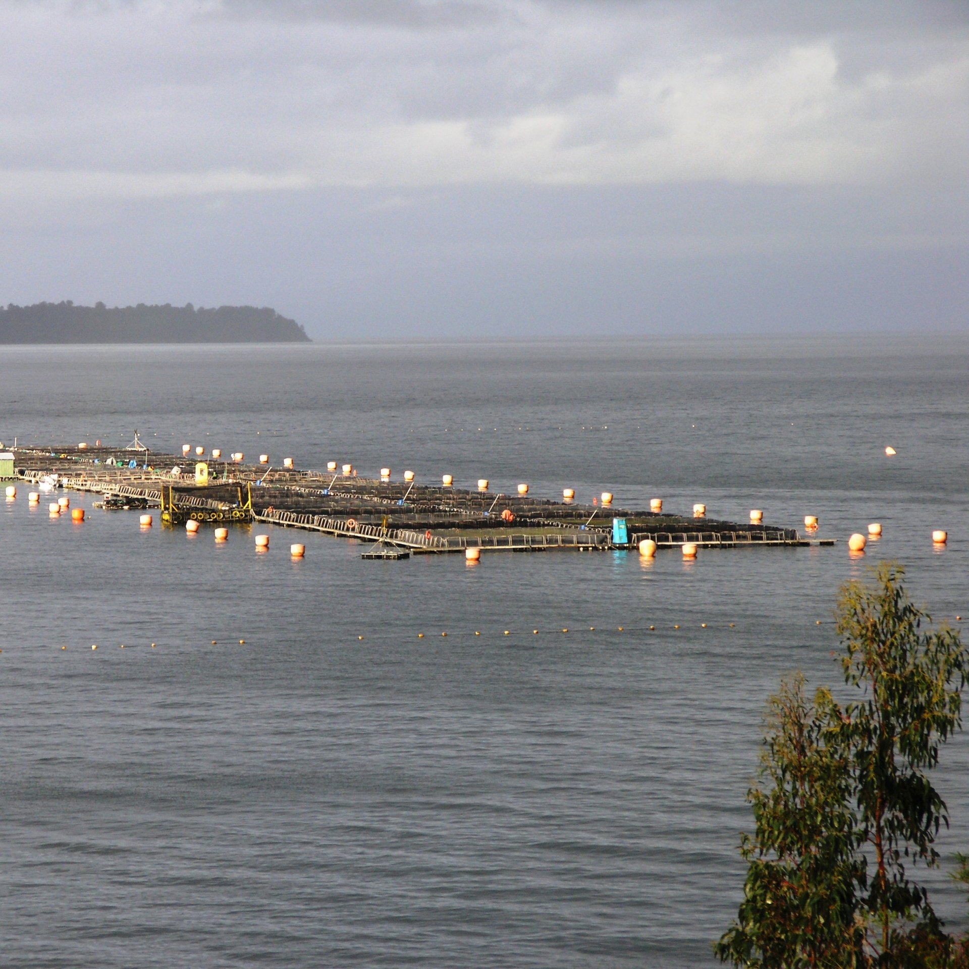 Chile: Coastal Zone Management in Gulf of Ancud and Gulf of Corcovado