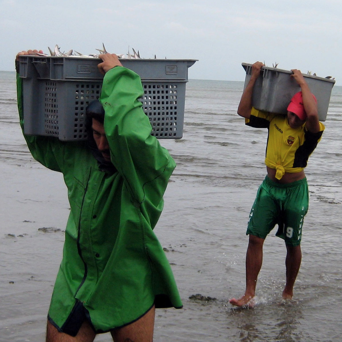 Landingsite Landingsite