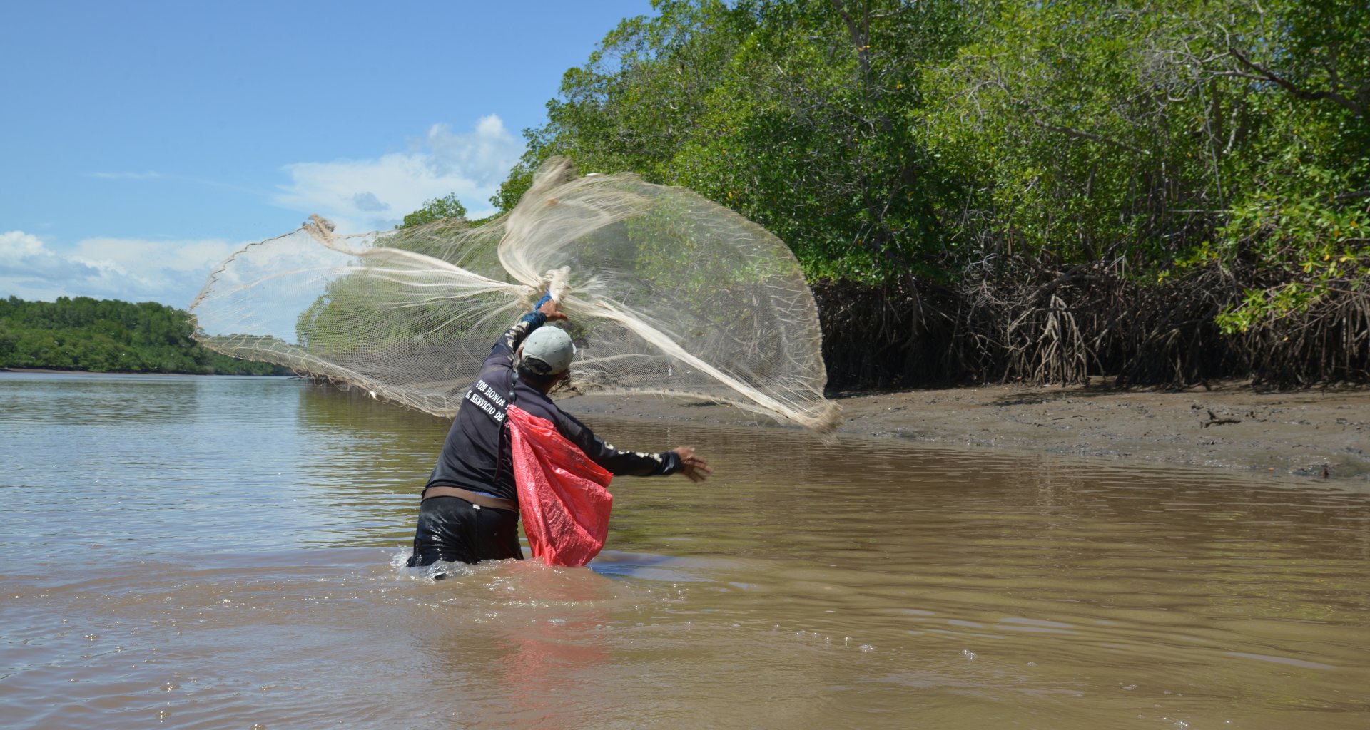 Frente a los manglares hay un buen lugar para pescar con la red. Frente a los manglares hay un buen lugar para pescar con la red.