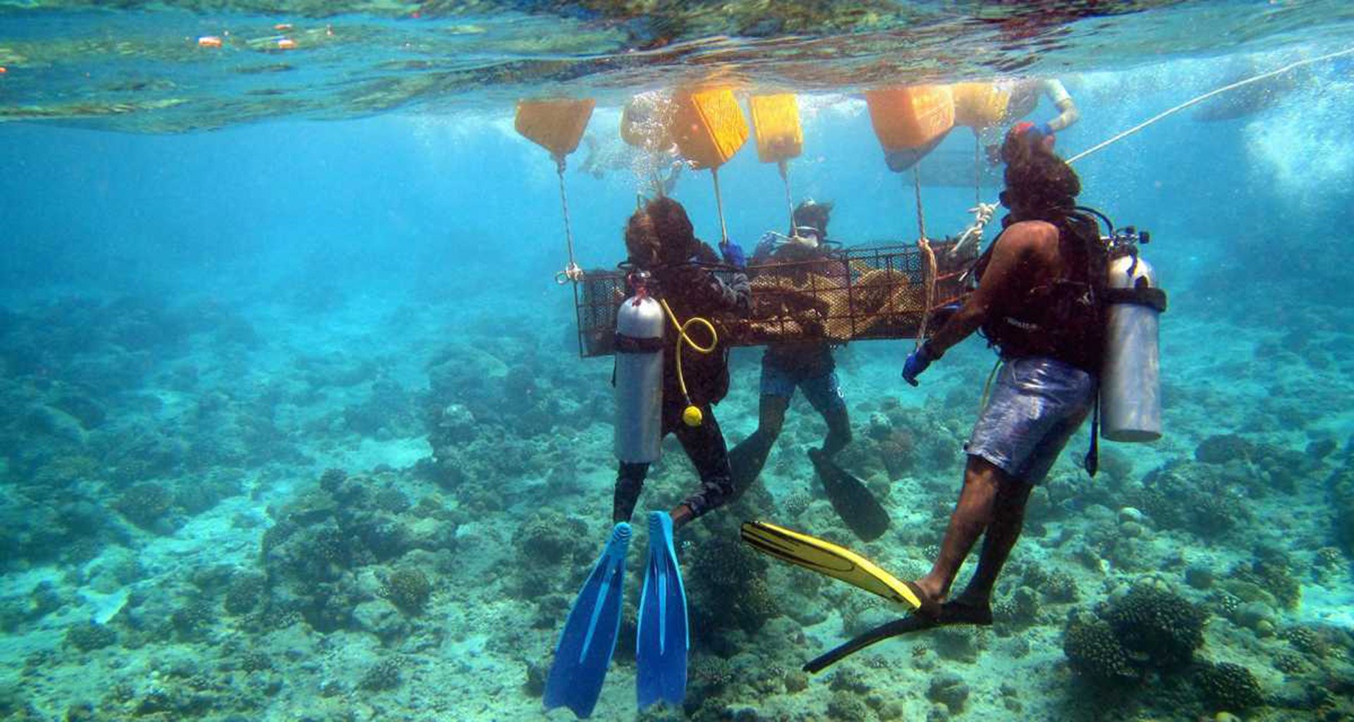 Relocacion Relocacion